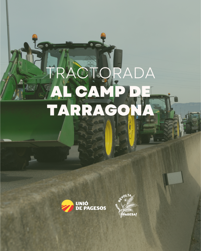 Cartell de la concentració