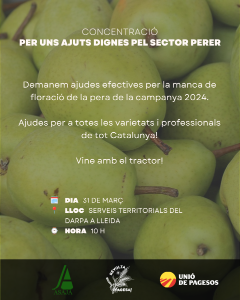 Cartell de convocatòria de la concentració a Lleida