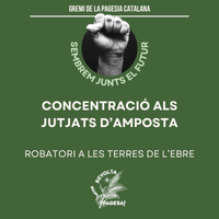 Imatge destacada de la notícia