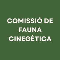 Imatge destacada de la notícia