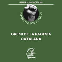 Imatge destacada de la notícia