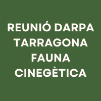 Imatge destacada de la notícia