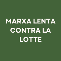 Imatge destacada de la notícia