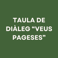 Imatge destacada de la notícia