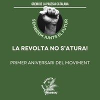 Imatge destacada de la notícia