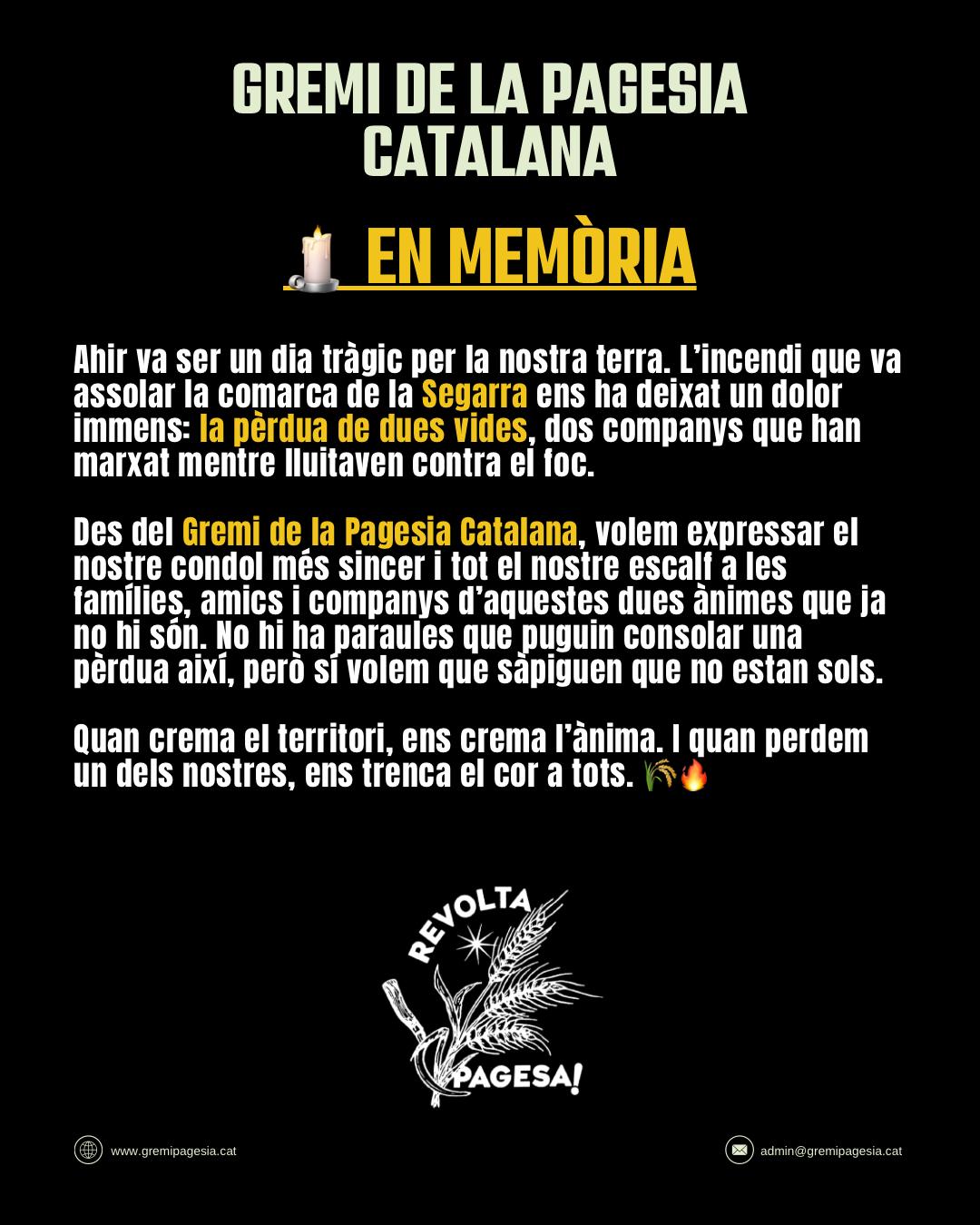 Imatge destacada de la notícia