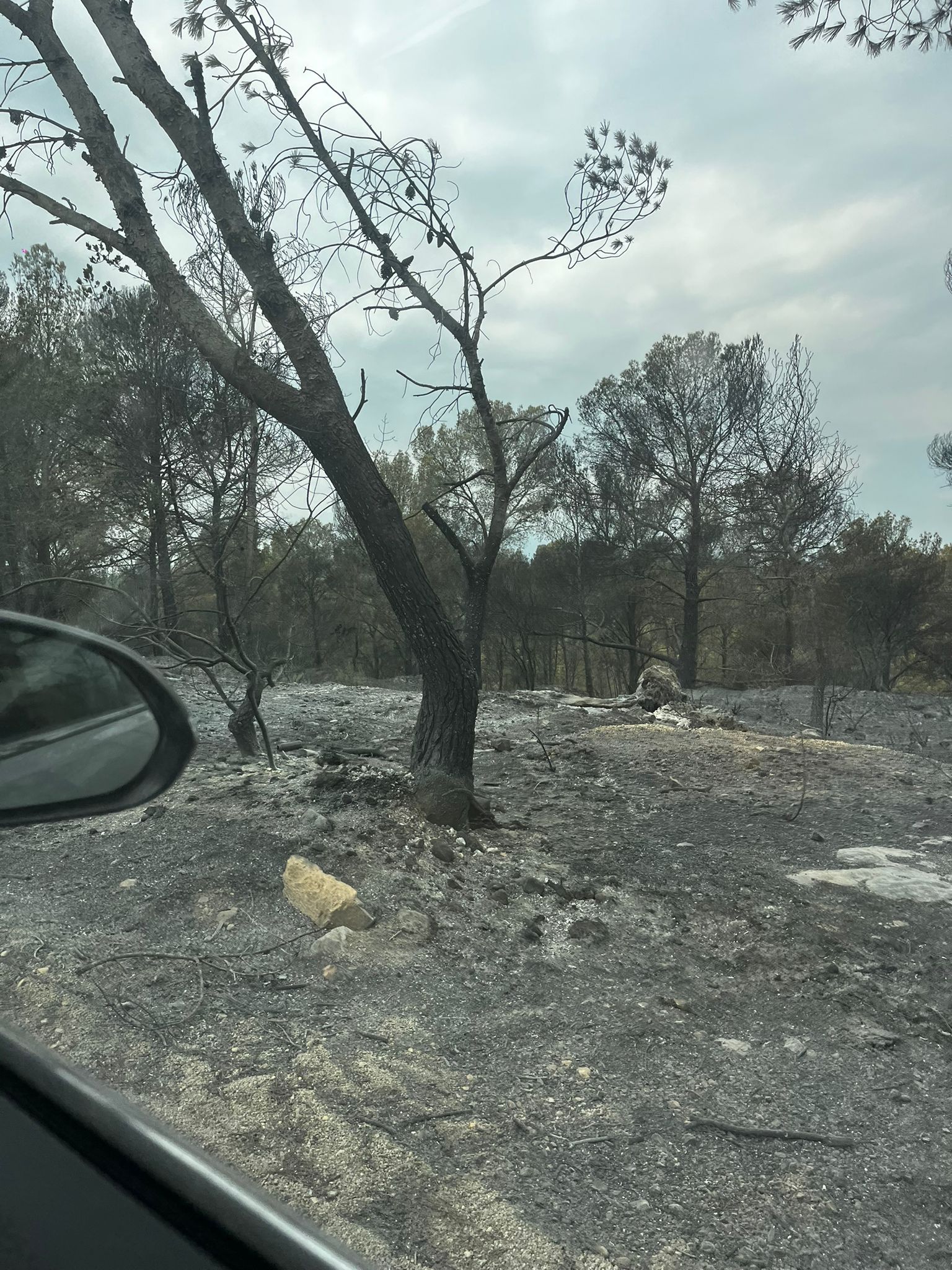 Imatge destacada de la notícia